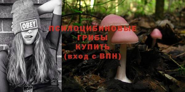дживик Михайловка